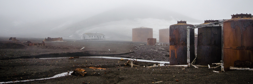 Whalers Bay von Fred Barrington