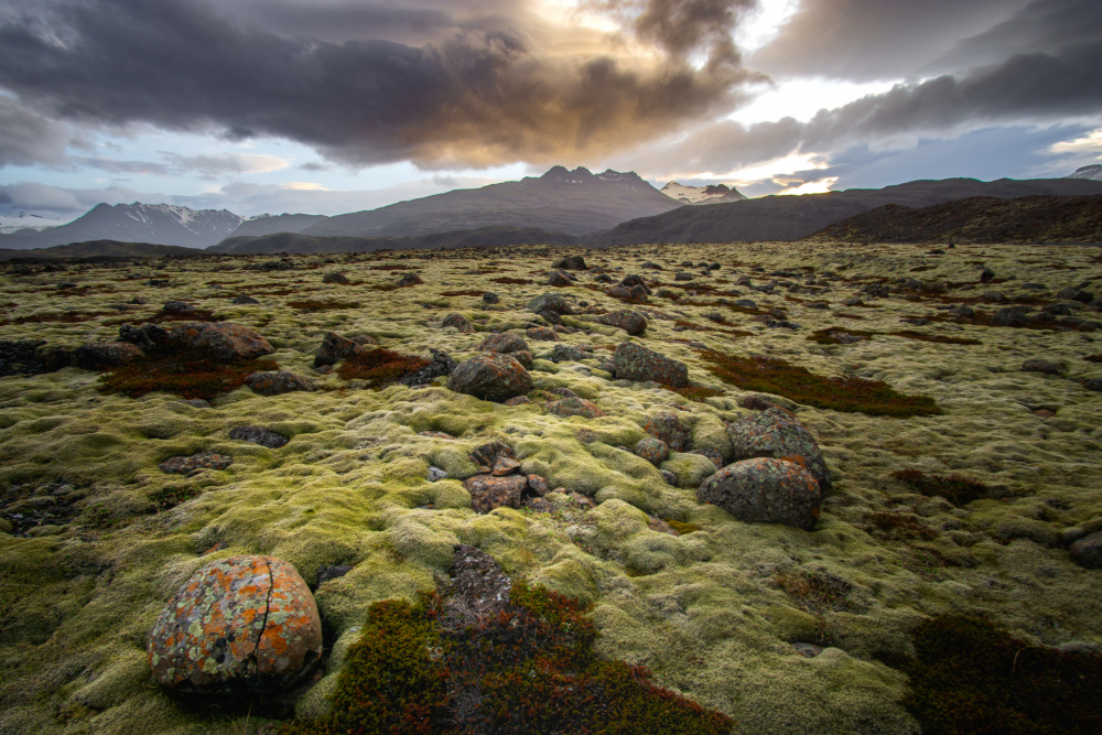 Iceland highlands von Fred Louwen