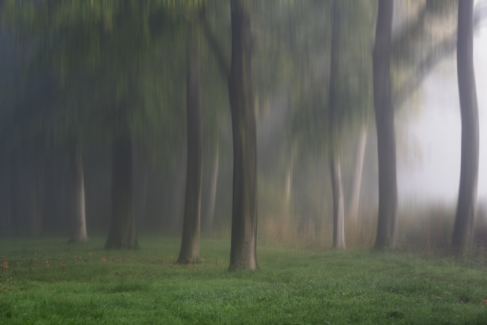 Mystical park von Fred Louwen