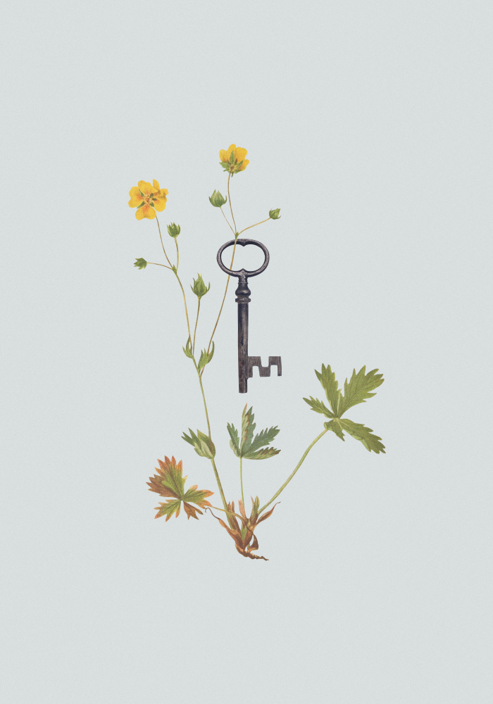 Botanical vintage key von Frida Floral Studio