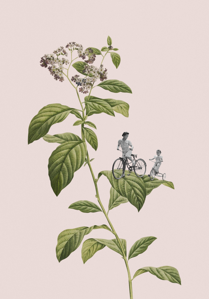 Botanical cycling von Frida Floral Studio