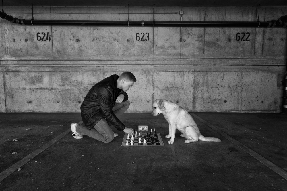 Playing Chess von Friedhelm Hardekopf