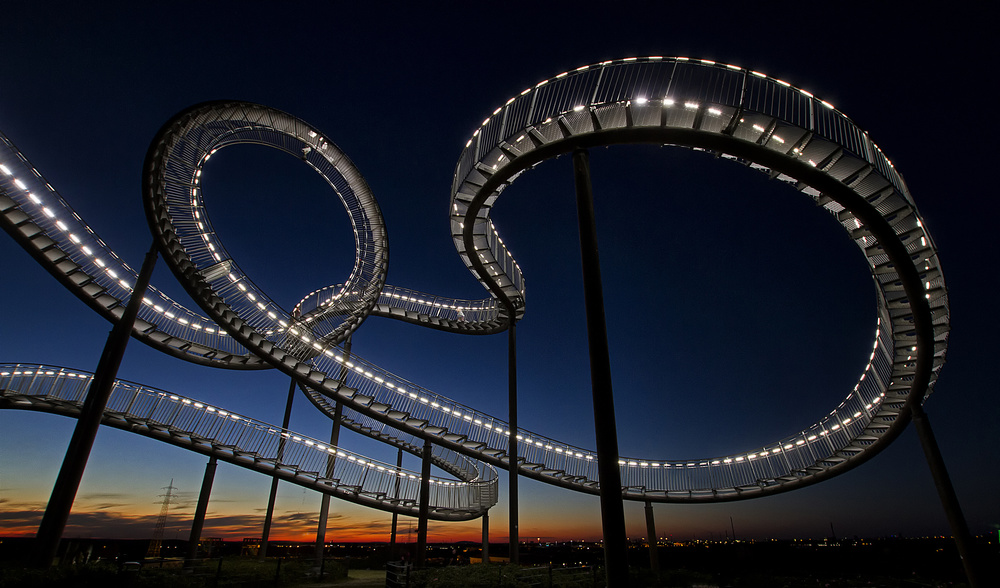 Tiger &amp; Turtle von Friedhelm Hardekopf