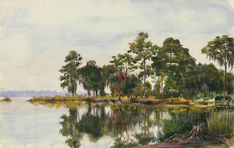 Baumschlag am Wasser, Jacksonville von Fritz Hauck