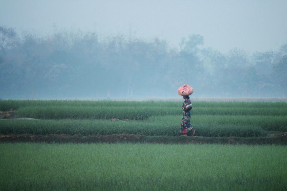 Tribe women von Fuad Sarkar