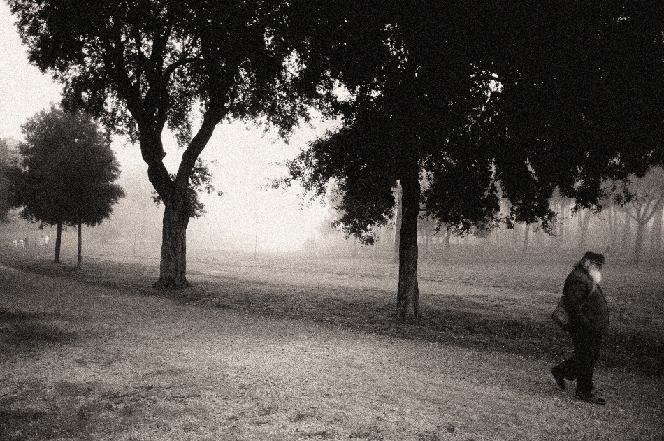 a stroll with myself von Fulvio Pellegrini