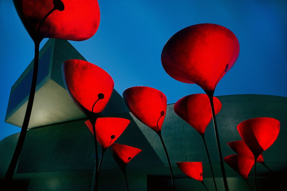 MAXXI Museum von Fulvio Pellegrini