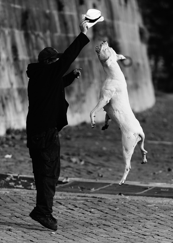 jumping with my friend von Fulvio Pellegrini