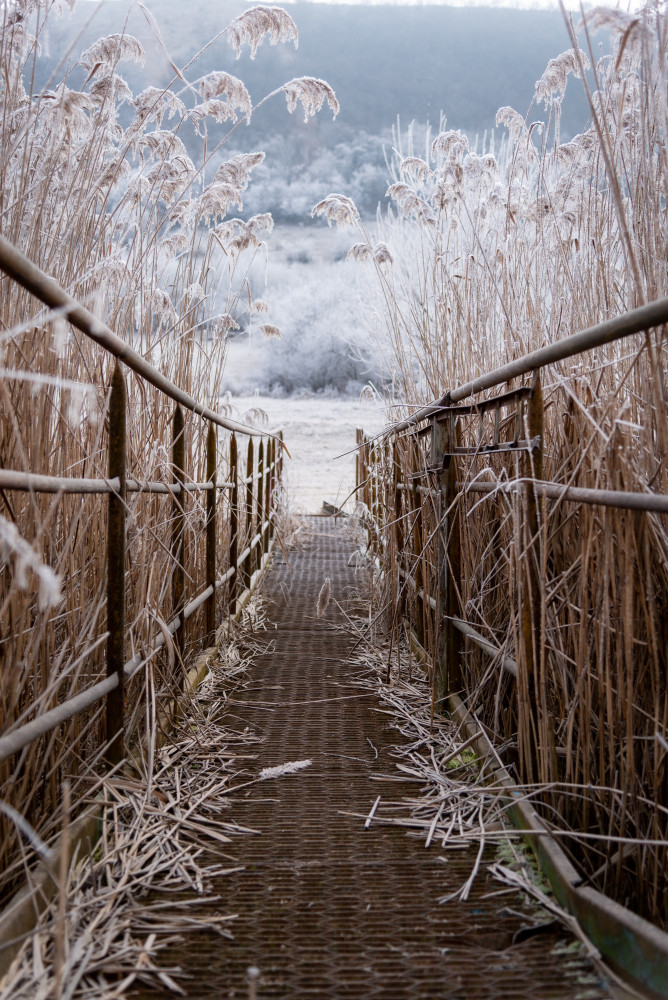 Freezing morning in Dvorniky - Vcelare, Slovakia von Gabriel Jakab