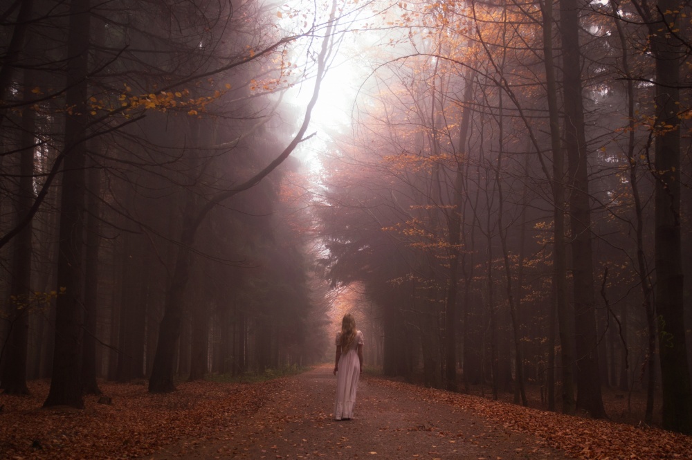 My autumn forrest von Gabriela Slegrova