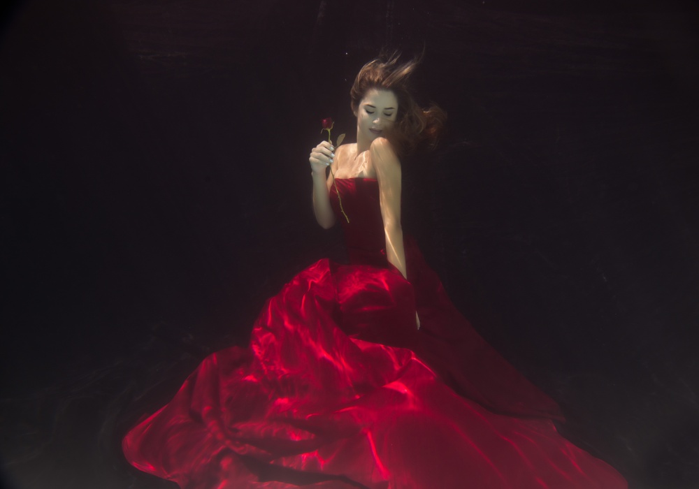 Red Queen von Gabriela Slegrova