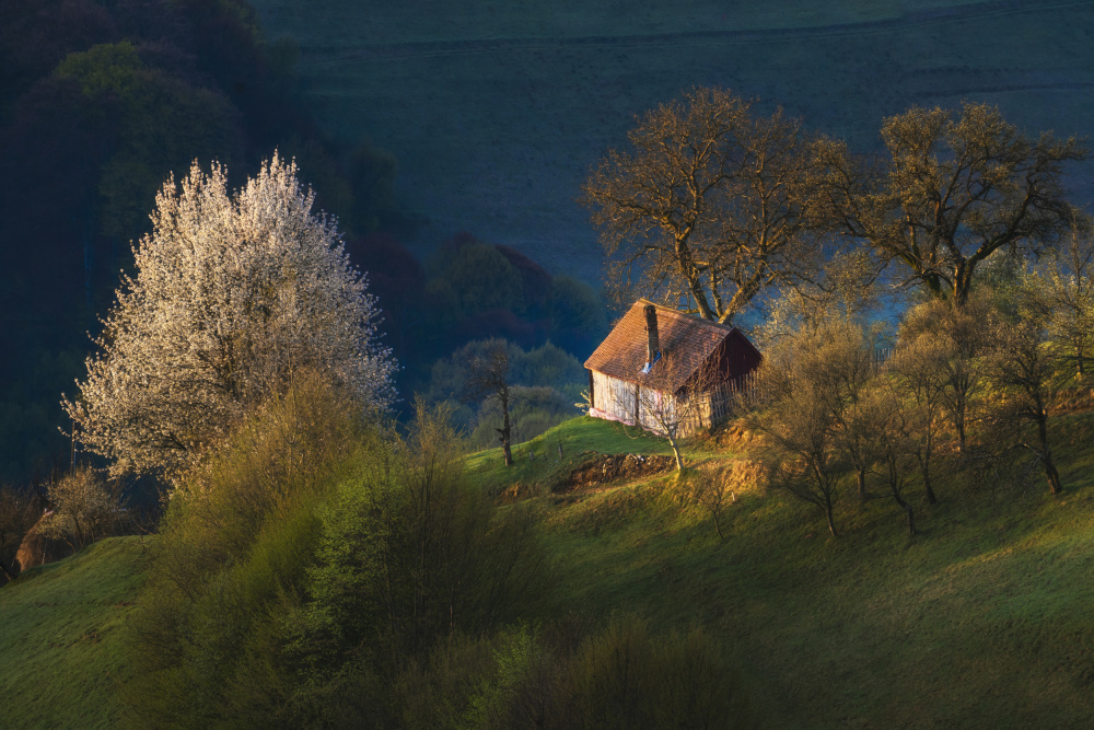 In the quiet of the morning von Gabriela Vochescu