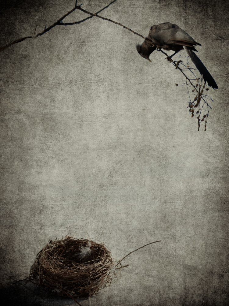 Empty Nest Syndrome von Gaby Grohovaz