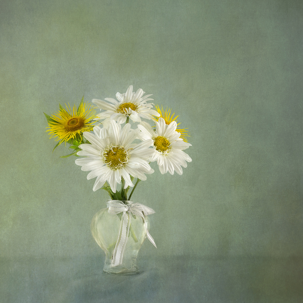 White Daisies von Gaille Gray