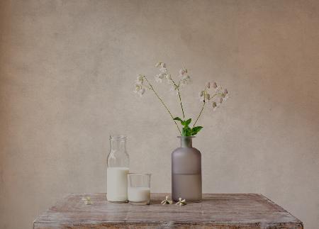 Still life with milk