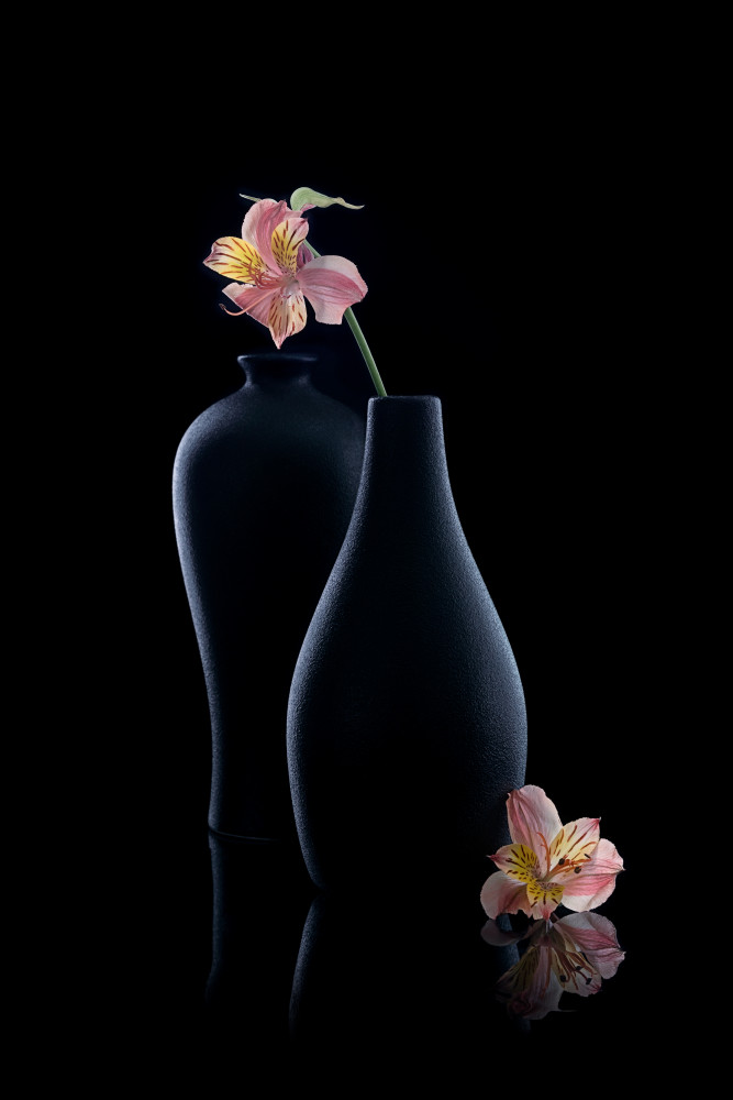 Flowers and Vases von GaoSL