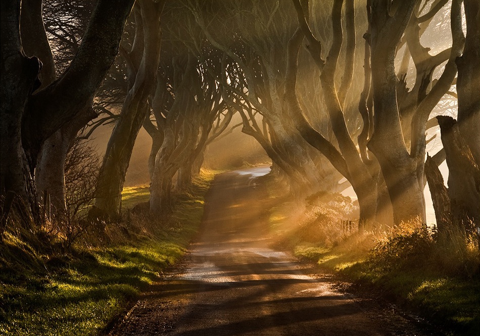 The Road Goes Ever On &amp; On von Gary McParland