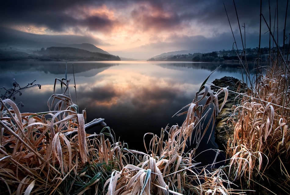 New Years Frost von Gary McParland