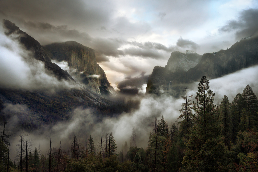 Upper Valley Morning von Gary Perlow