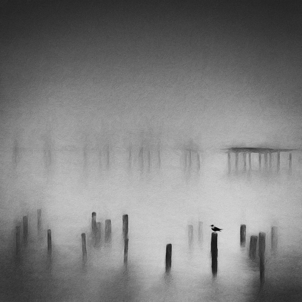 Fading Pier von Gary E. Karcz