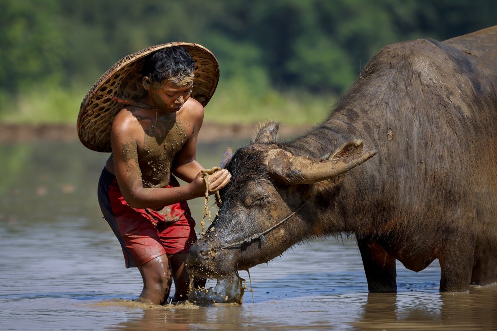 Friendship von Gatot Herliyanto