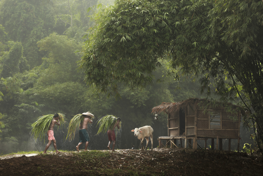 Productive Morning von Gatot Herliyanto