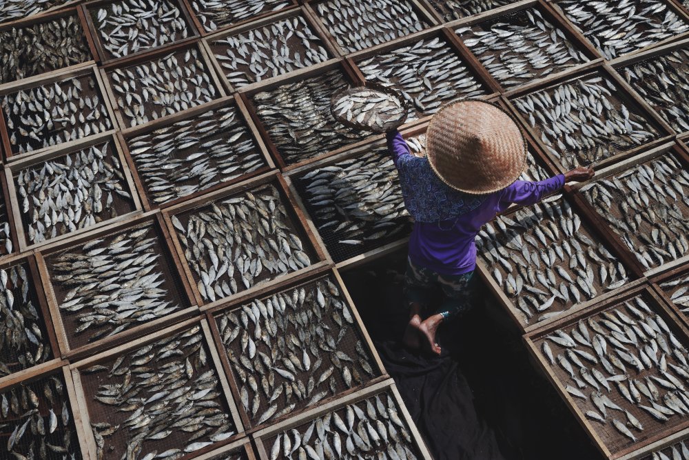 Drying Salted Fish von Gatot Herliyanto