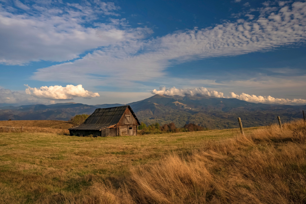 Peace of mind von Gavrila Danut Corneliu