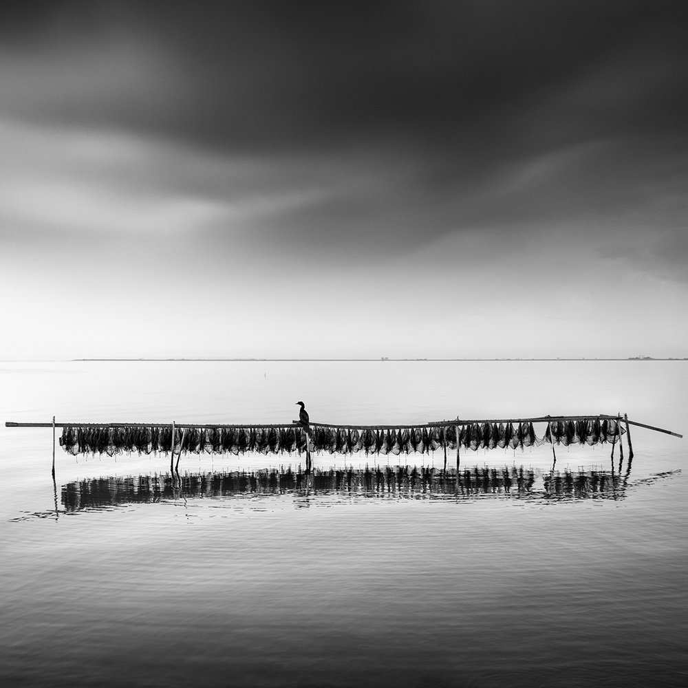 Alone von George Digalakis