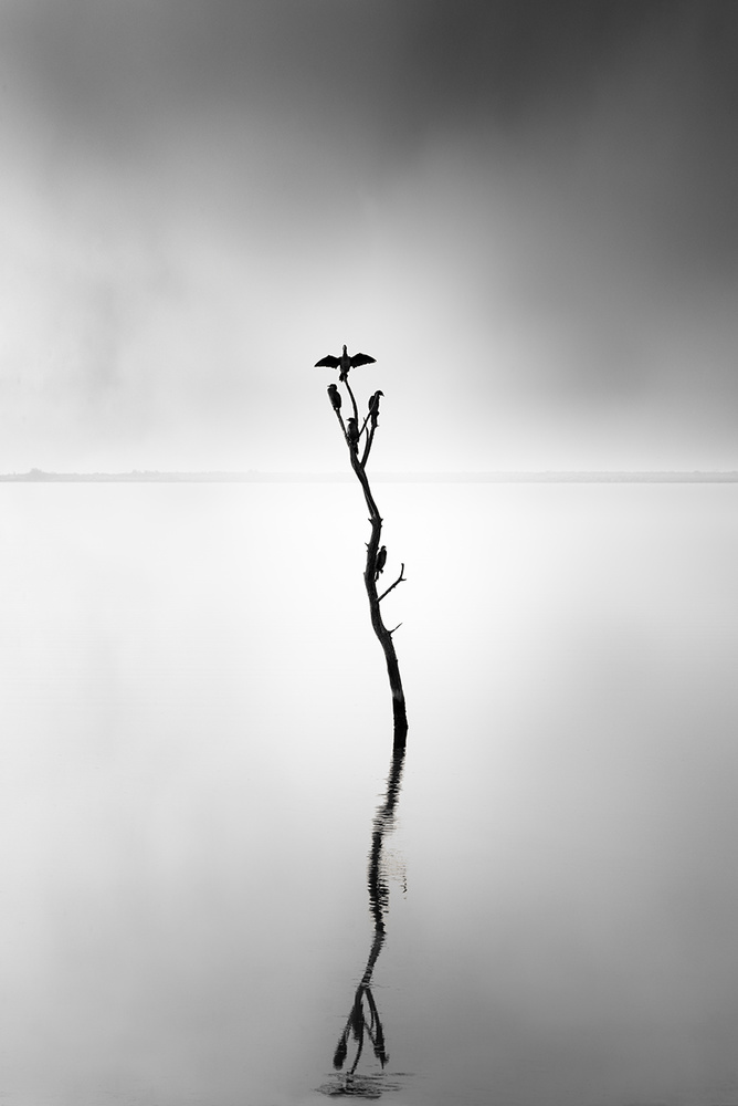 Axios Delta 044 von George Digalakis