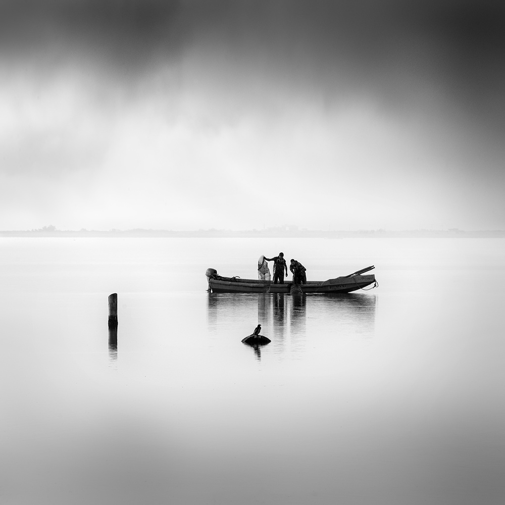 Fisherman and the Curious Bird von George Digalakis