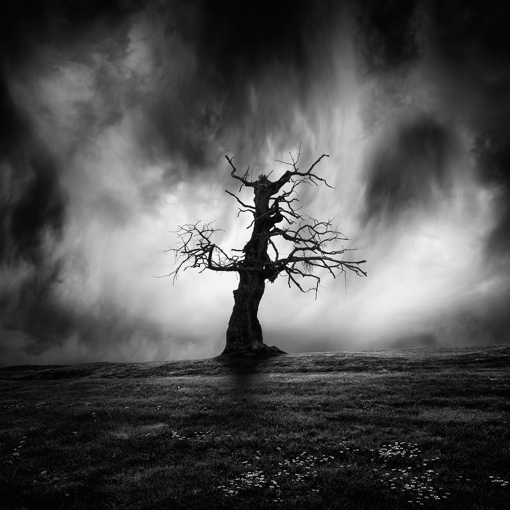 The Witch von George Digalakis