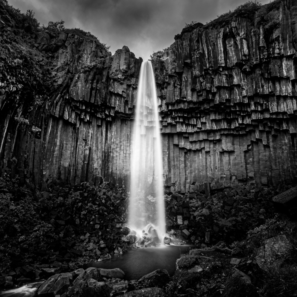 The Shadowlands von George Digalakis