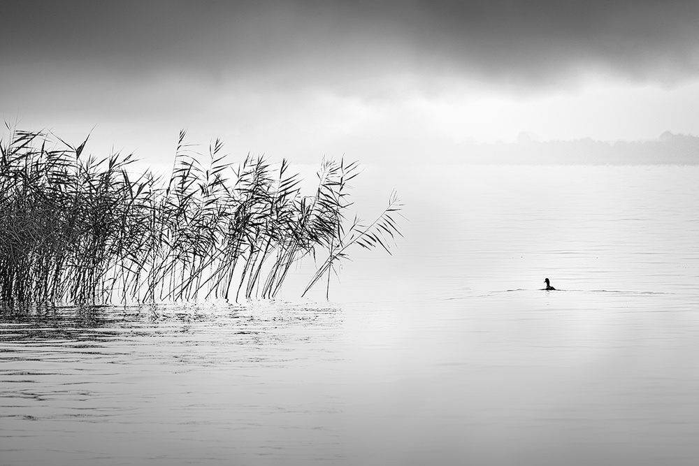 A Hazy Shade Of Winter von George Digalakis