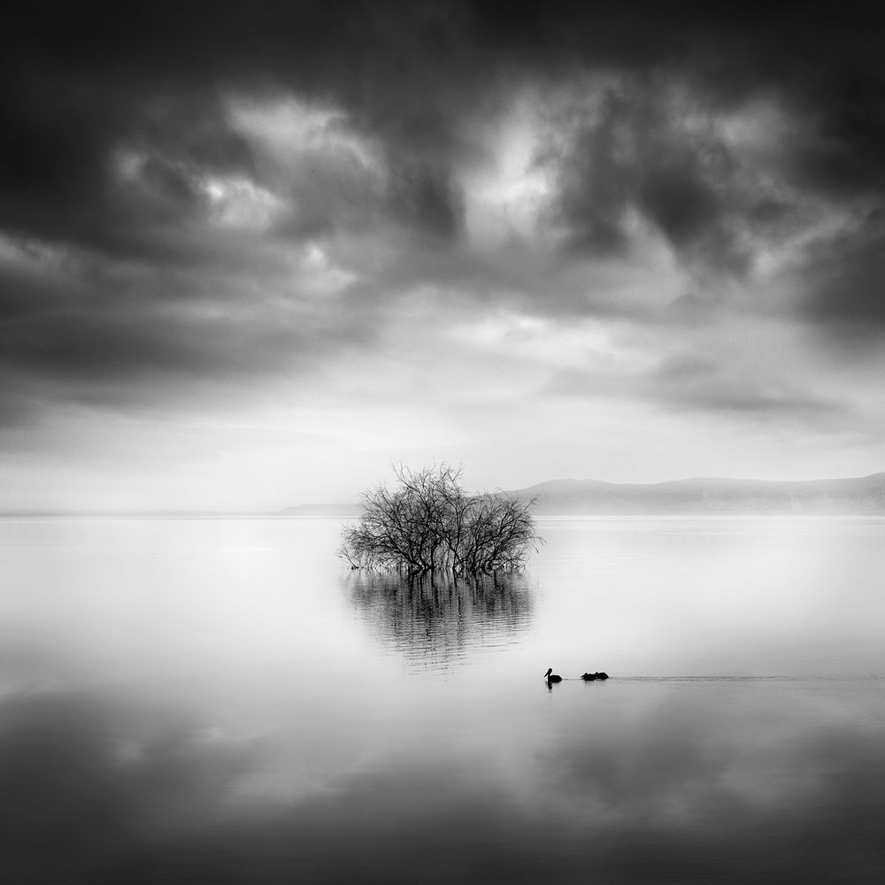 A Ray of Light von George Digalakis