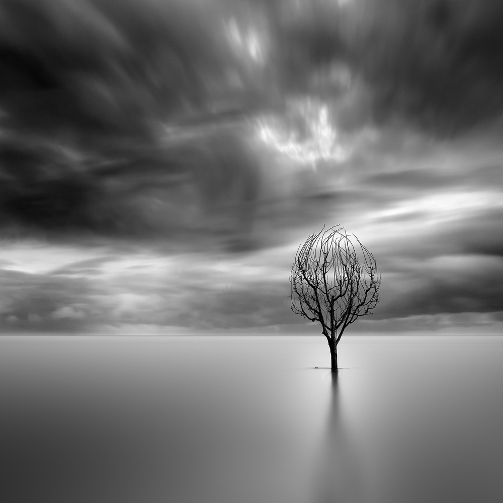 Lonely Tree von George Digalakis