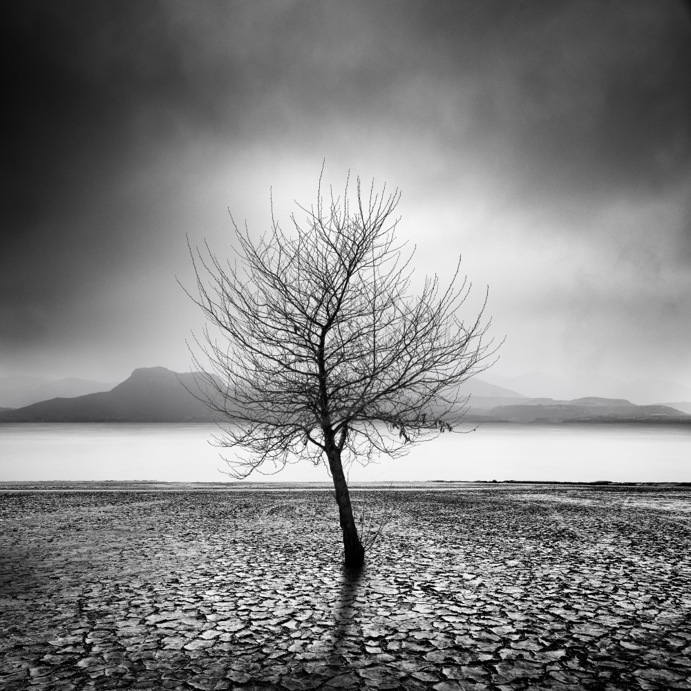 Dry Land von George Digalakis