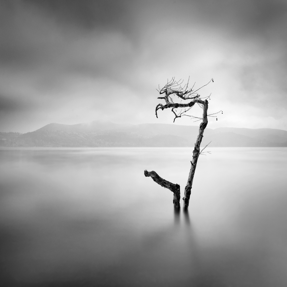 Flood von George Digalakis