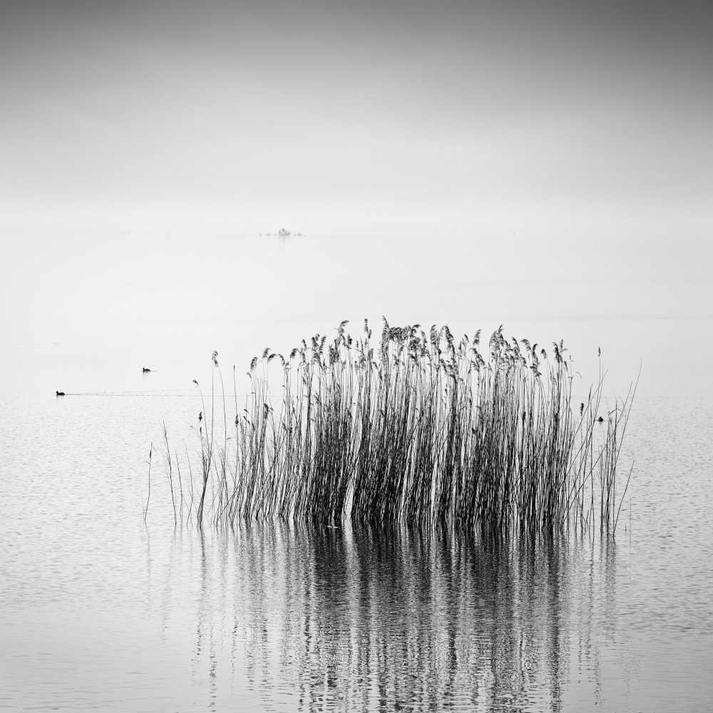 Enjoy the Silence von George Digalakis