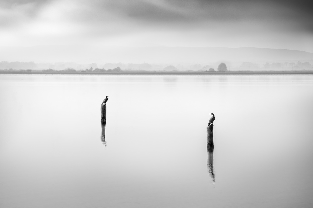 Conversation von George Digalakis