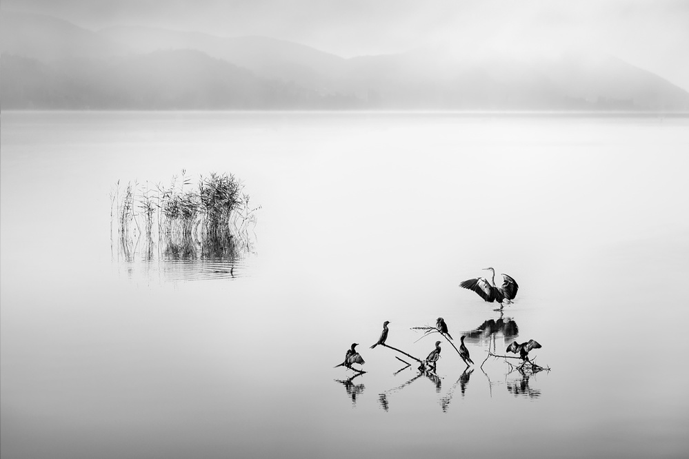 Lake Karla IX von George Digalakis