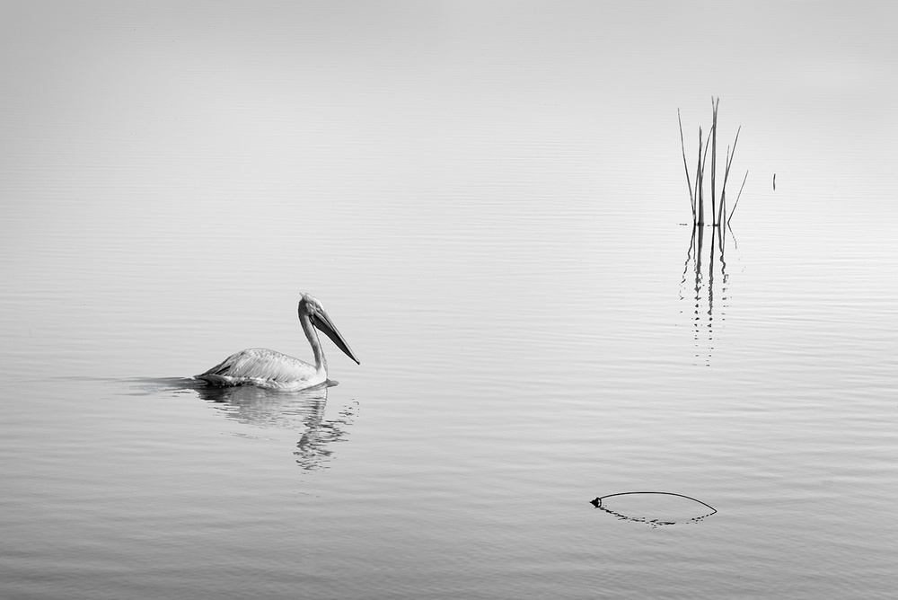 Lake Karla VIII von George Digalakis