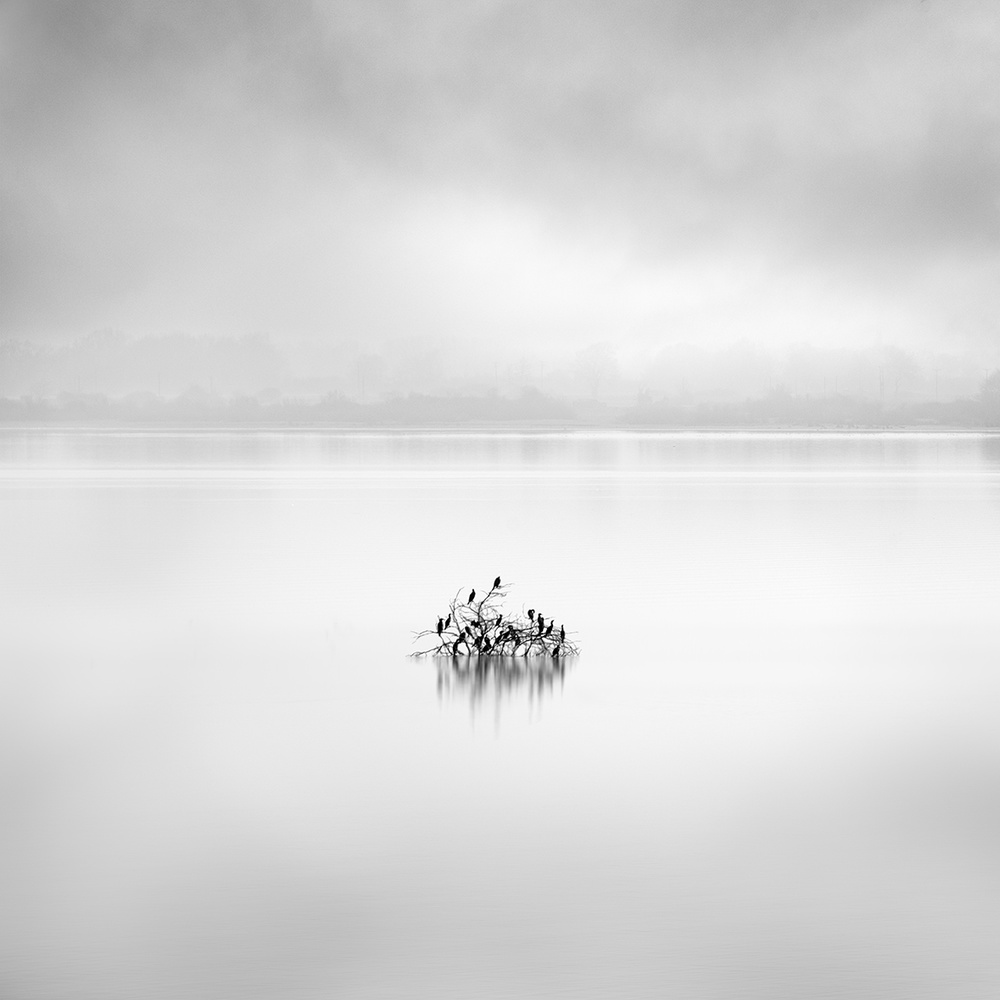 Koroneia Lake 005 von George Digalakis