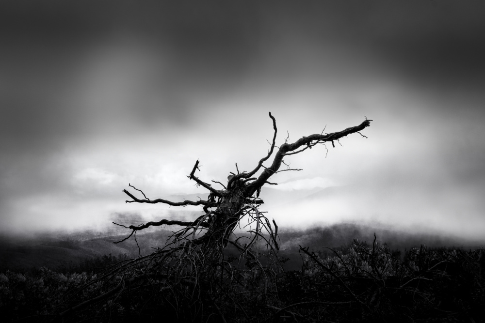 Last Warrior von George Digalakis