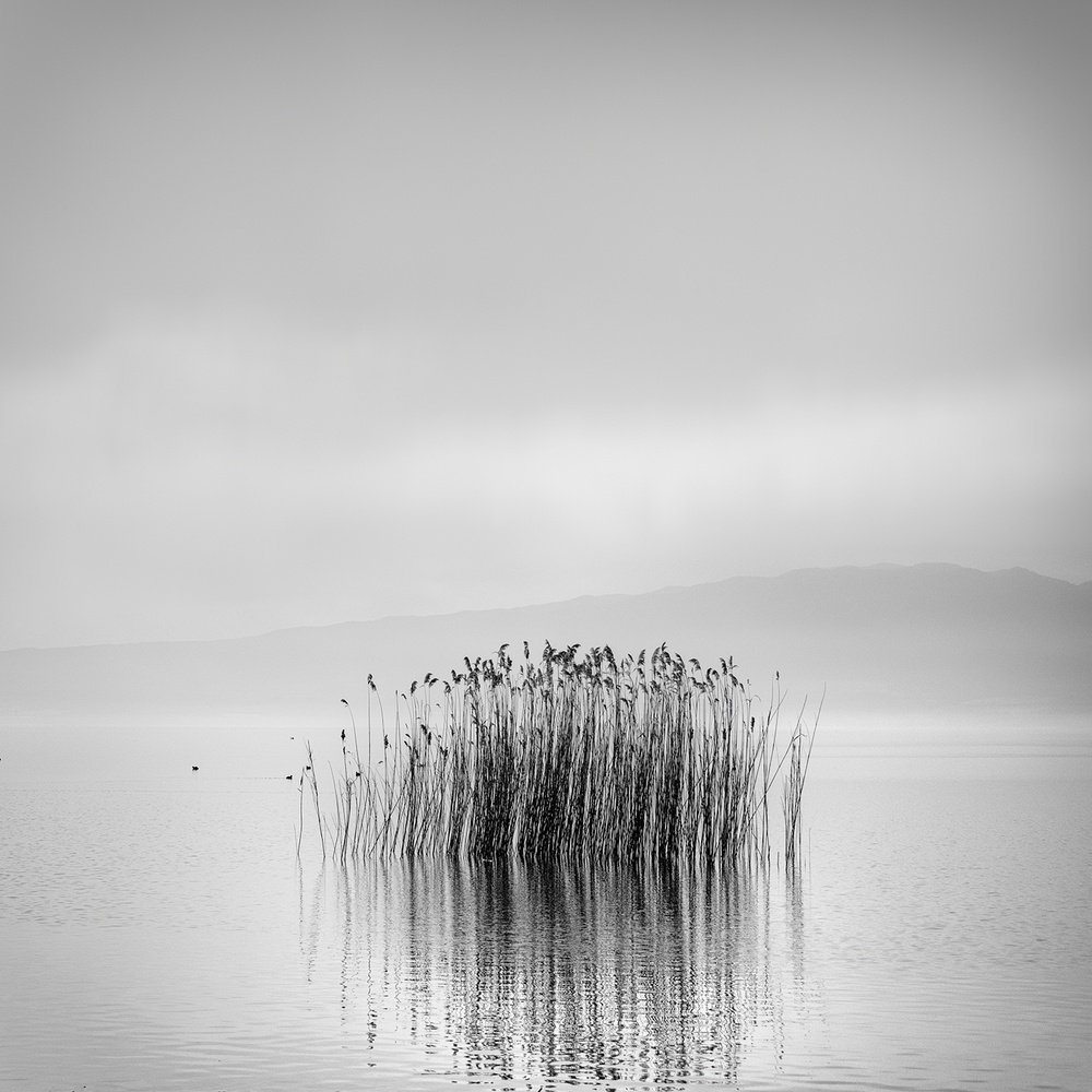 Morning Silence von George Digalakis