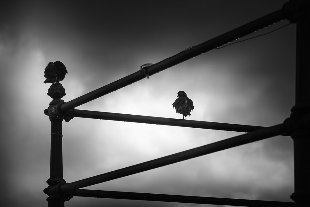 Rainy Days in Amalfi III von George Digalakis