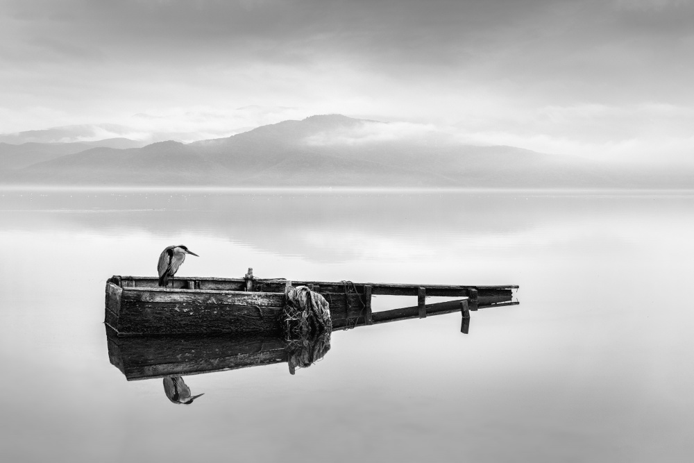 Heron on a Boat I von George Digalakis