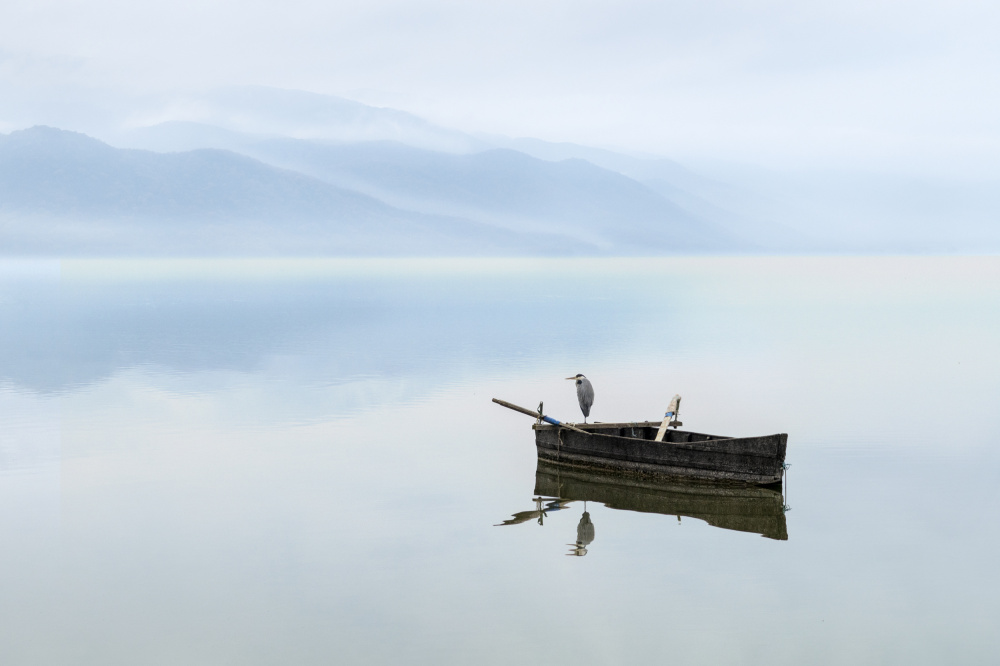 Heron on a Boat II von George Digalakis