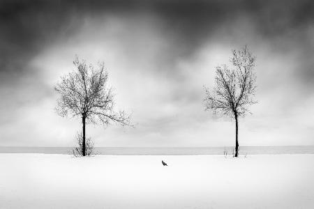 Snow on the Beach