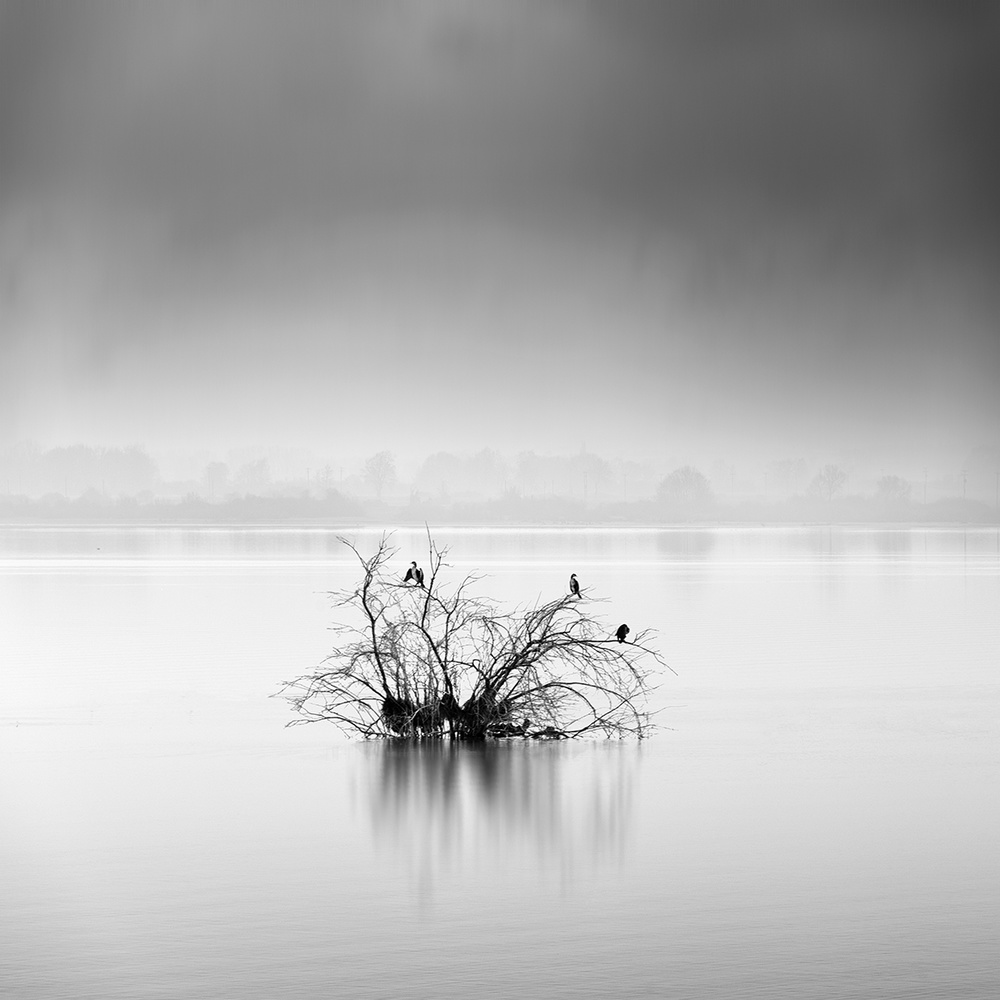 Silence von George Digalakis